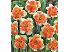 ���-����� ����������� ���-��� ���(����� ����� ������) 102 ���. ��. (� �������� 3 ��.). ������ �� 45 ��. ������� ������� �� 9 ��.!!!!!!!!!!!!!! �������� .jpg