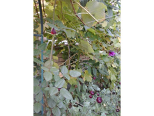 2016-10-13 16.33.55.jpg