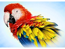 �������� 38�27 Ag 3440.jpg