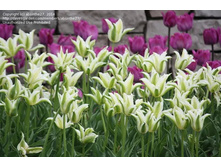 �������� ������������ ��-�� ��-�� ���. ����2.jpg