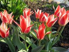 �������� �������. ������� ���-����� ���. ����2..jpg