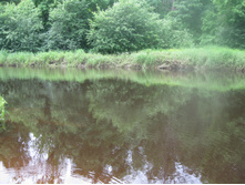 IMG 0097.JPG
