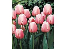 �������� ��������� ������� ���-�-���� 97,3 ���. ��. (� �������� 7 ��.). ������ �� 60 ��. ������� ������ �� 12 ��..jpg