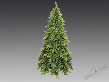 ��� "���������"