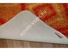 SUPER SHAGGY ���� 3 ��