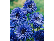 ���-��-�� ��-�� ���-������ 59 ���. ��. ) � �������� 10 ��.). ������ 30 ��. ������� ������ 8 ��.jpg