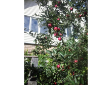 2016-09-23 14.55.27.jpg