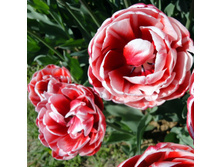 �������� �������� ������� ����-���� ���. ����3.jpg