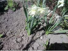 2017-05-07 14.08.50.jpg