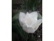 2016-05-04 18.06.59.jpg