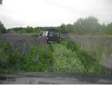 IMG 0212.JPG
