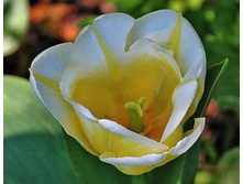 ������� ����� ������ ���-���� ���-��� ���. ����2..jpg