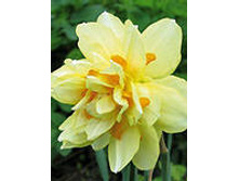 ���-���� ���-����� ���-�� 69,7 ���. ��. (� �������� 3 ��.). ������ �� 40 ��. ������� ������ �� 9 ��.!!!!!!!!!!!!!! ��������.jpg