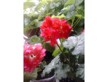 2016-05-18 17.06.47.jpg