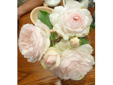 Stephanie Baronin zu Guttenberg