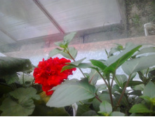 2016-05-18 17.11.52.jpg