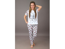 ��0017, 430���, 42��.