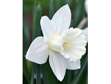 ���-����� ��������� ��-��� ��-� 66 ���. ��. (� �������� 3 ��.). ������ �� 40 ��. ������� ������� �� 12 ��.!!!!!!!!!!!!!! ����� ��������.jpg