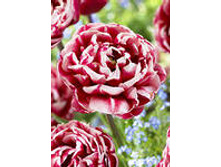 �������� �������� ������� ����-���� 181,3 ���. ��. (� �������� 7 ��.). ������ �� 50 ��. ������� ������ �� 10 ��..jpg