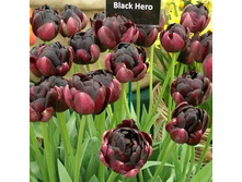 �������� �������� ������� ��-�� ��-�� ���. ����2..jpg