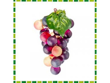 ����� ������������� � ���� ���������, �������, 24 ����� �������: ��501453