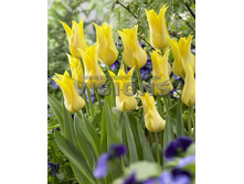 �������� ������������ ����-��� ��-�� ���. ����2.jpg