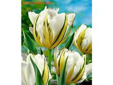 �������� �������� ������ ��-����� ��-����� 118,3 ���. ��. (� �������� 7 ��.). ������ �� 50 ��. ������� ������ �� 15 ��..jpg