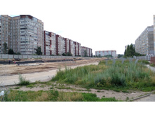 IMG 20170715 125023.jpg