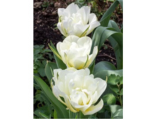 �������� �������� ������ ��-����� ��-����� ���. ����2..jpg