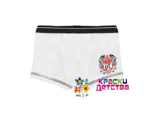 �������, �������: BAYKAR 3020W, 100 ���