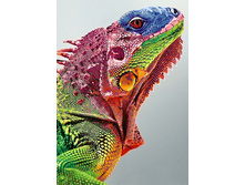 ������ 27�38 Ag 3444.jpg