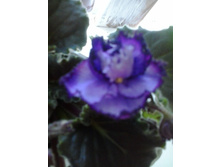 2016-06-23 14.17.02.jpg