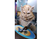 P 20170520 153900.jpg