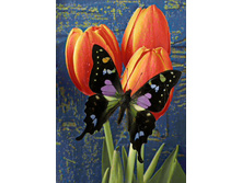 ������� �� ��������� 27�38 Ag 3436.jpg