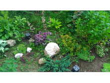 P 20170702 143525.jpg