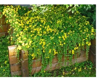 ��������� ���������� 70�...jpeg