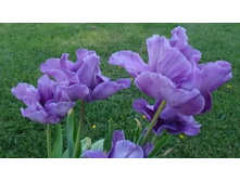 ������� ���������� ��-� ���-��� ���. ����2.jpg