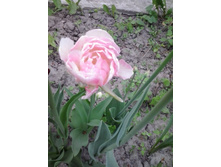 2016-05-16 16.22.05.jpg