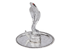 123,66 ���. - ��������� ��� ���������