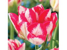 �������� �������� ������� ���-��� 118,3 ���. ��. (� �������� 7 ��.). ������ �� 45 ��. ������� ������ �� 10 ��..jpg