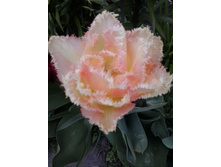 2017-05-16 17.46.12.jpg