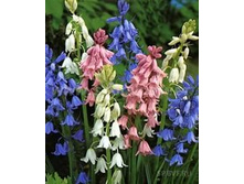 .�������� ����� ���. ����.jpg