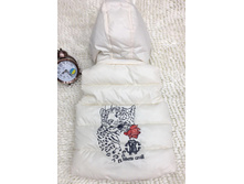 � ����.����