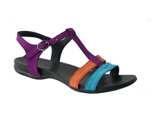 509 ������� �����