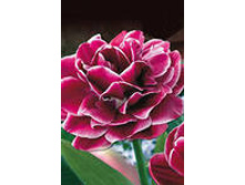 �������� �������� ������� ��-�� ��-� 181,3 ���. ��. (� �������� 7 ��.). ������ �� 45 ��. ������� ������ �� 10 ��..jpg