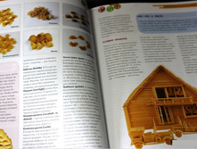 ������ �� �������. �������. ������. �������,1.jpg