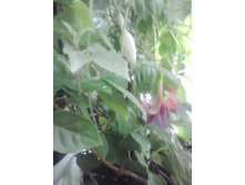 2016-05-18 17.11.08.jpg