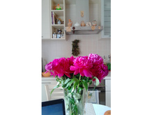 IMG 20170705 091019.jpg