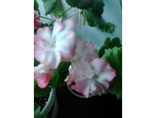 2016-05-03 16.12.05.jpg