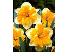 ���-����� ����������� ���-����� (����� ����� ������) 69 ���. ��. (� �������� 3 ��.). ������ �� 45 ��. ������� ������� �� 10 ��.!!!!!!!!!!!!!! �������� .jpg